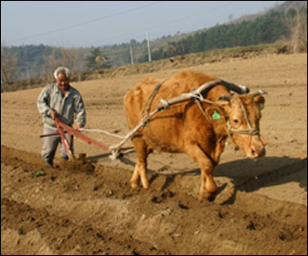 한 평생 밭을 가는 농사꾼, 가장 고마운 분이시다. 